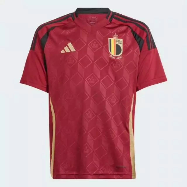 Iq0769 Adidas Rbfa H Jsy M